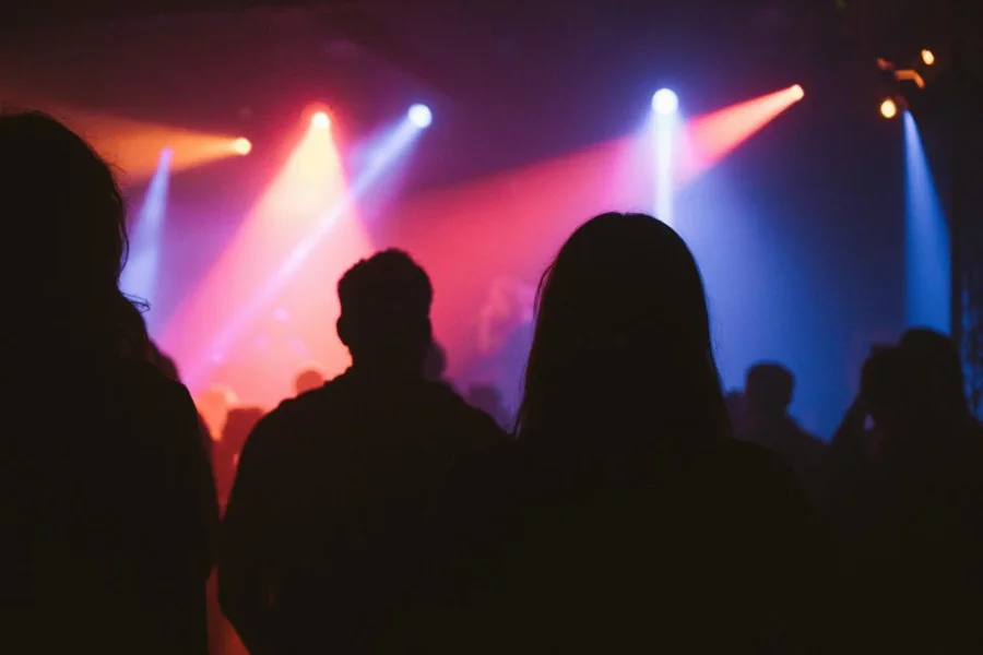Fans silhouetted against colourful stage lights